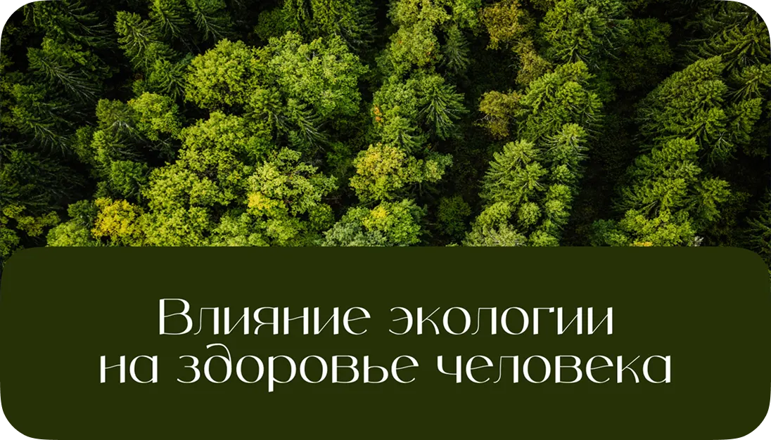 Презентация 7